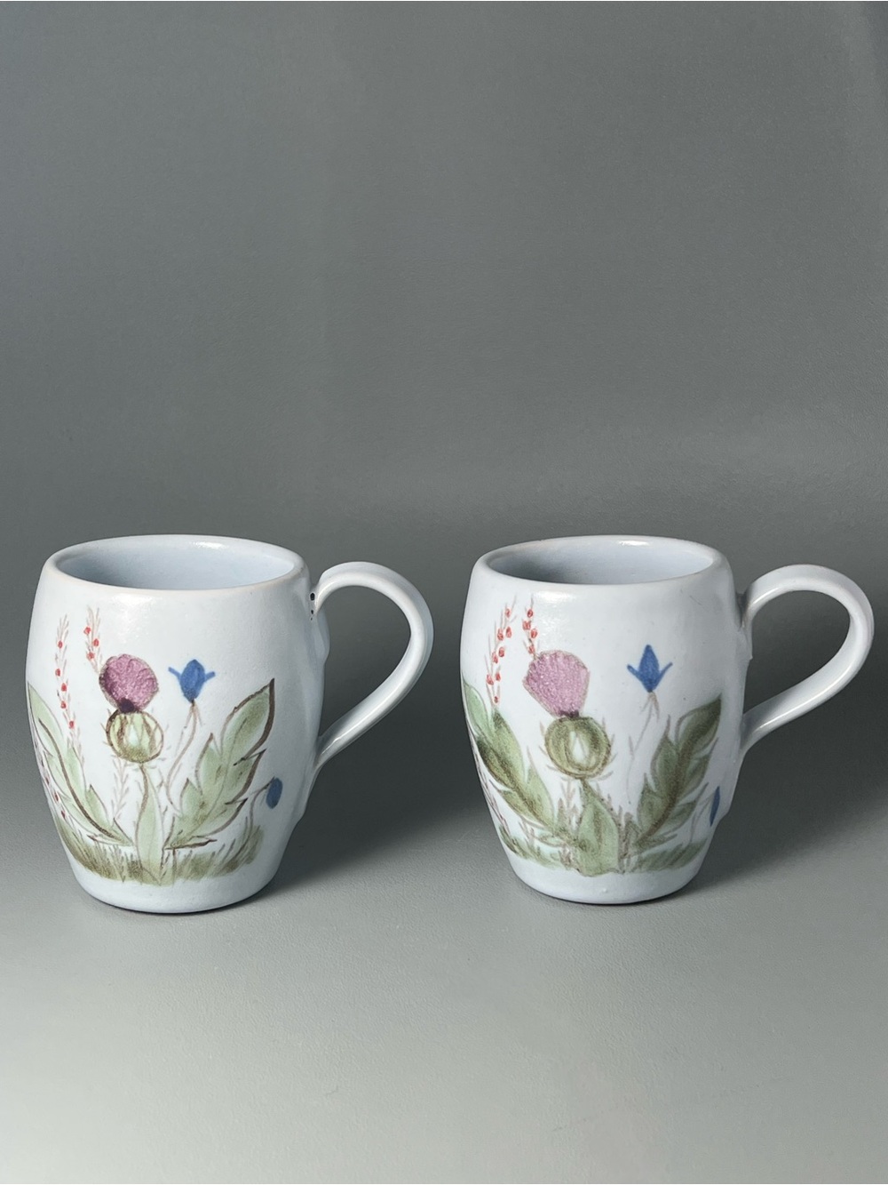 Buchan Portobello Thistleware Stoneware Mug